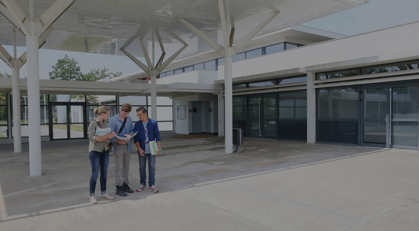 Dark_Group of students standing by school building.png